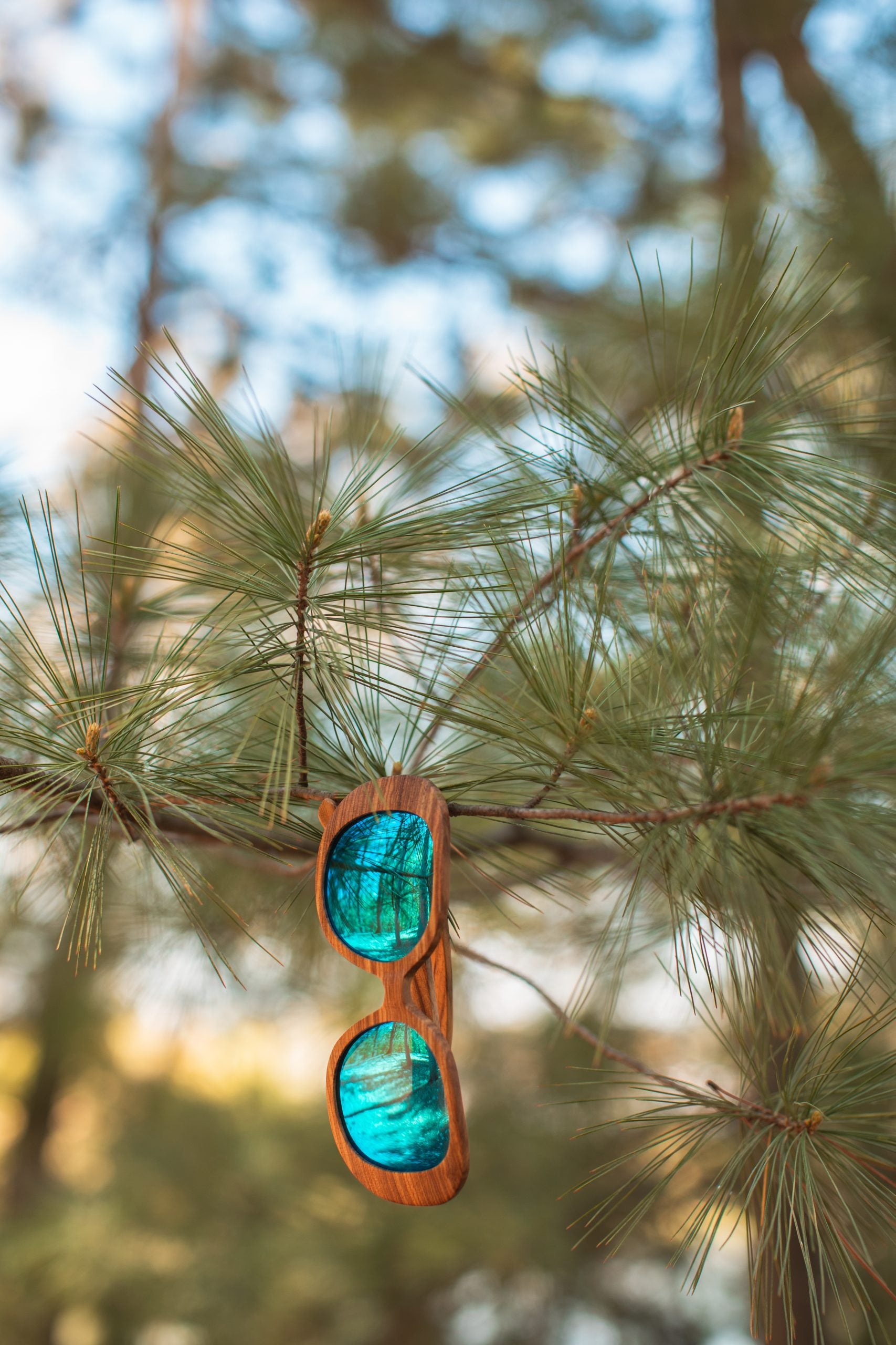 Miranda Zebrawood w/Tahitian Tide Mirrored Lenses (NEW) image 2